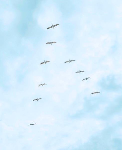 rutger-geleijnse-630397-unsplash.jpeg